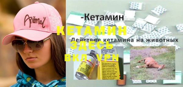 дмт Абинск