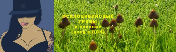 a pvp Алексеевка