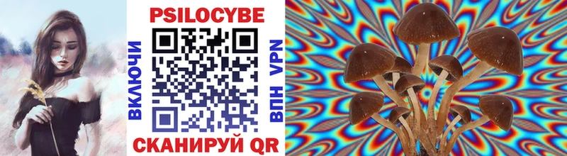 Галлюциногенные грибы MAGIC MUSHROOMS  Монино 